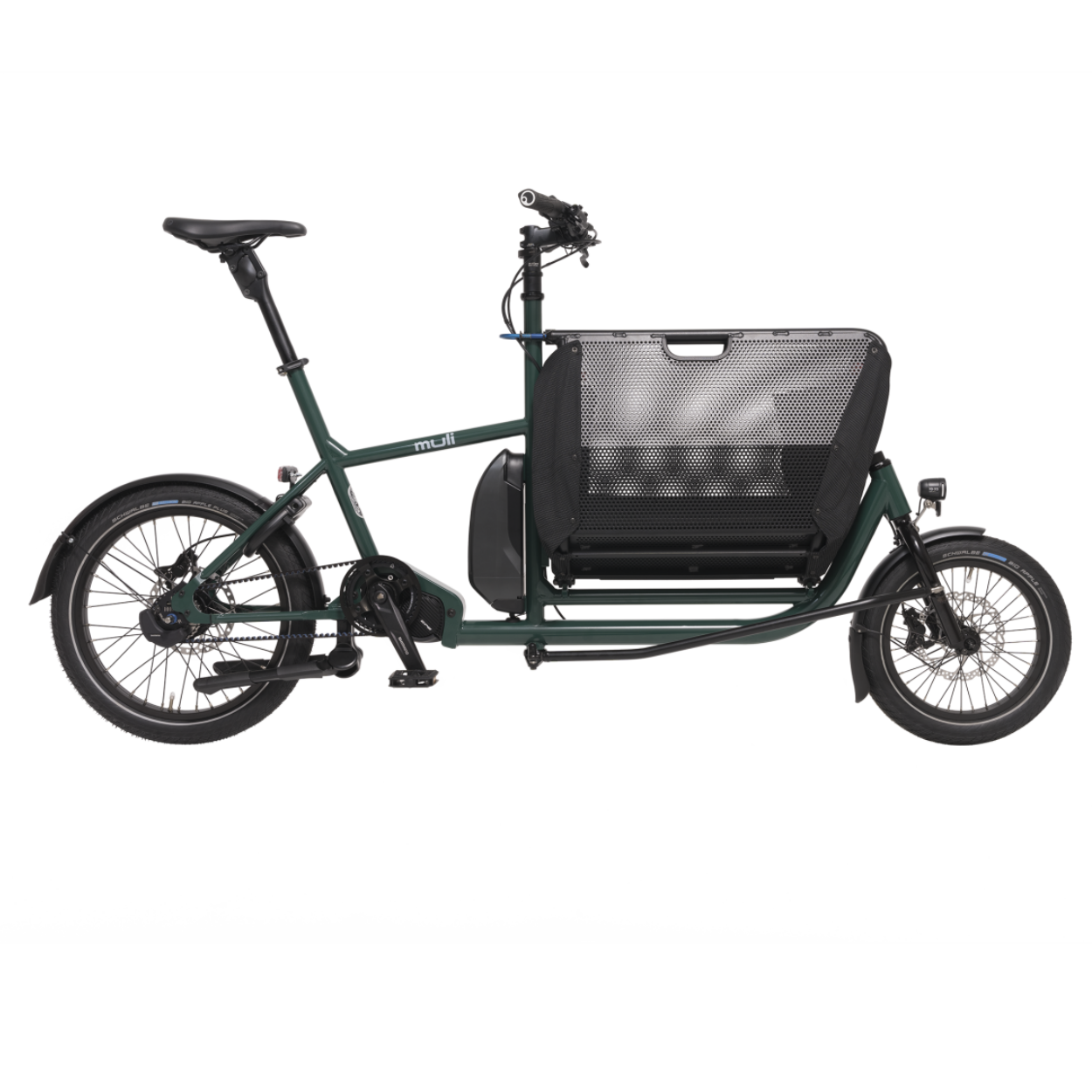 Master_Preview_Shop_1250_muli_Pinetree